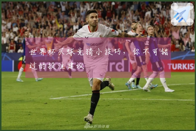 世界杯买球竞猜小技巧，你不可错过的投注建议