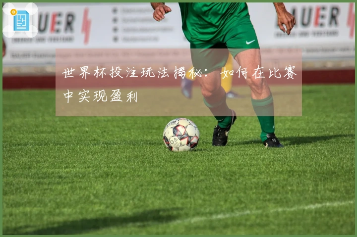 世界杯投注玩法揭秘：如何在比赛中实现盈利