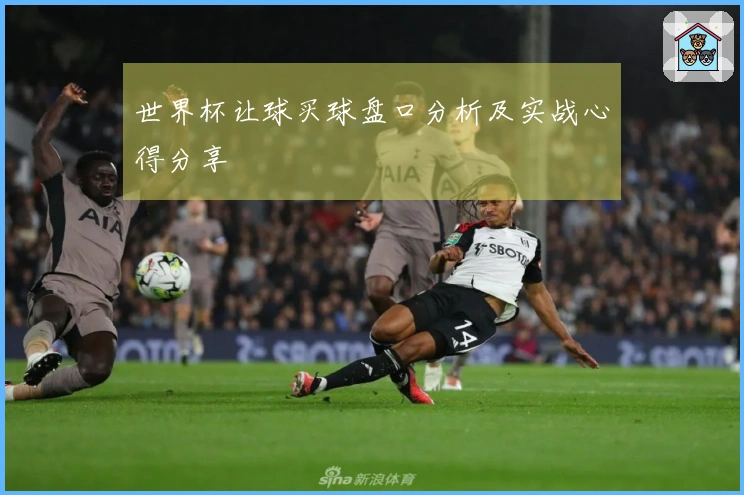 世界杯让球买球盘口分析及实战心得分享