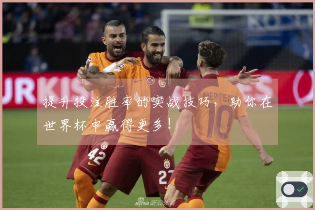 提升投注胜率的实战技巧，助你在世界杯中赢得更多！