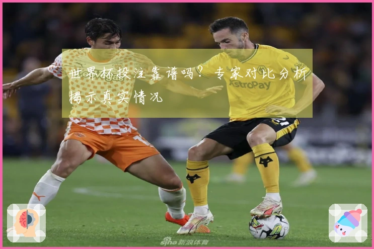 世界杯投注靠谱吗？专家对比分析揭示真实情况