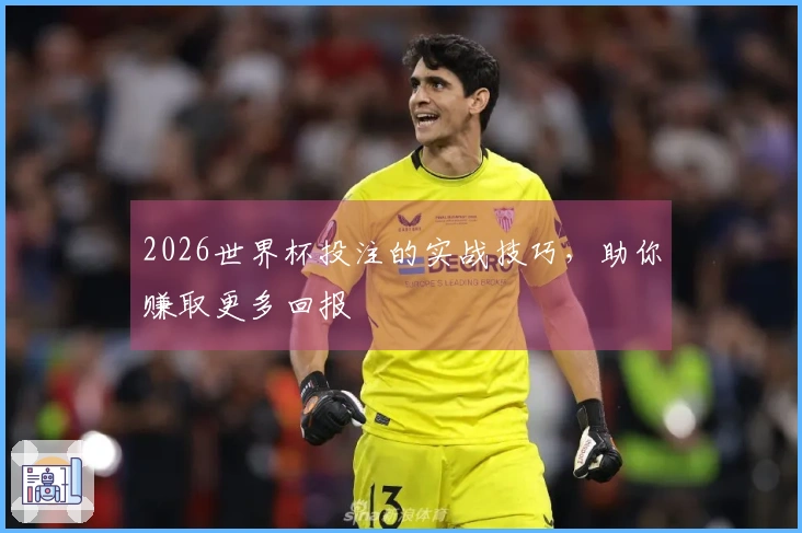 2026世界杯投注的实战技巧，助你赚取更多回报