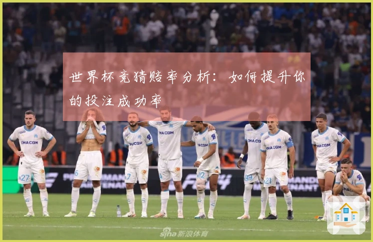 世界杯竞猜赔率分析：如何提升你的投注成功率