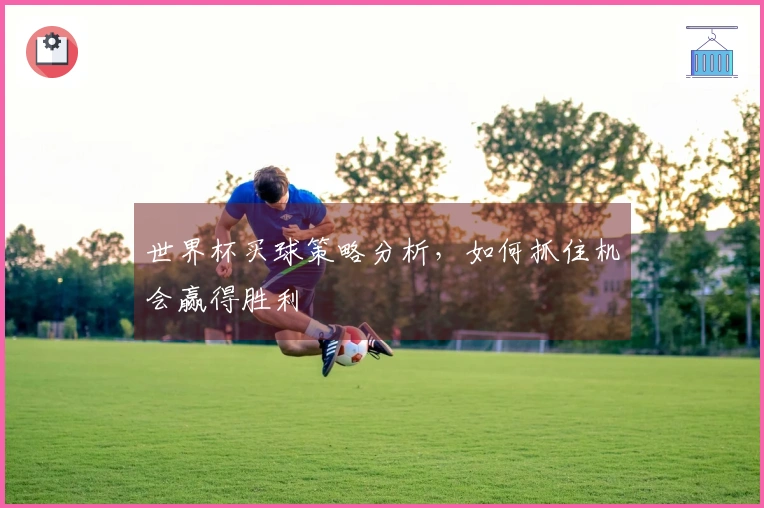 世界杯买球策略分析，如何抓住机会赢得胜利