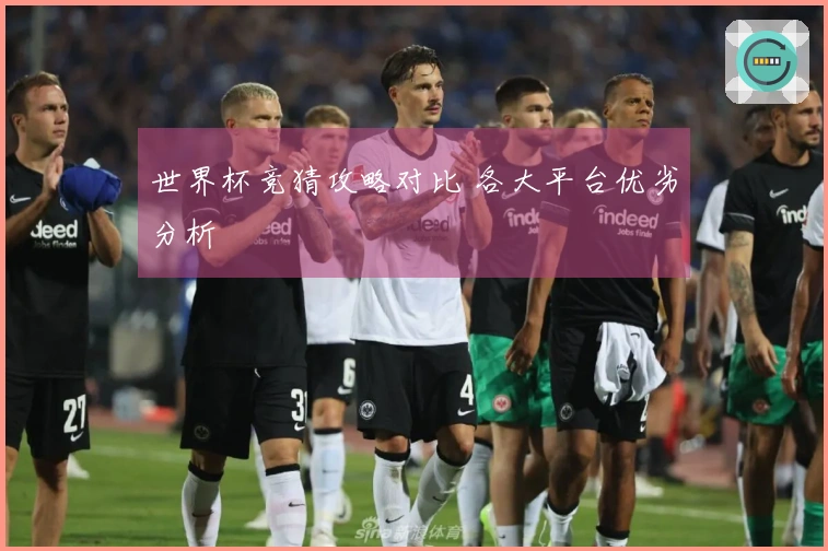 世界杯竞猜攻略对比 各大平台优劣分析