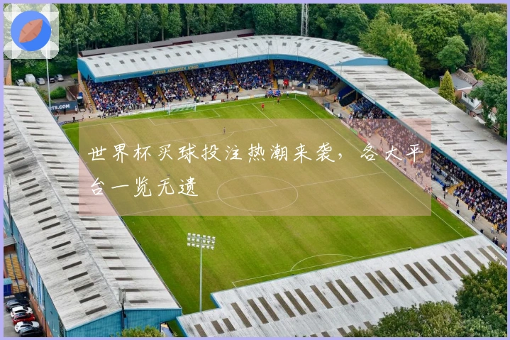 世界杯买球投注热潮来袭，各大平台一览无遗