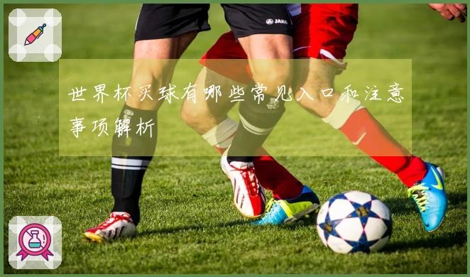 世界杯买球有哪些常见入口和注意事项解析