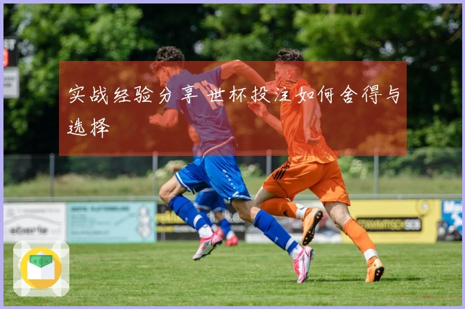 实战经验分享 世杯投注如何舍得与选择