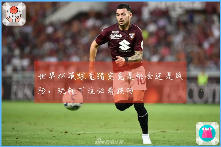 世界杯滚球竞猜究竟是机会还是风险，玩转下注必看技巧