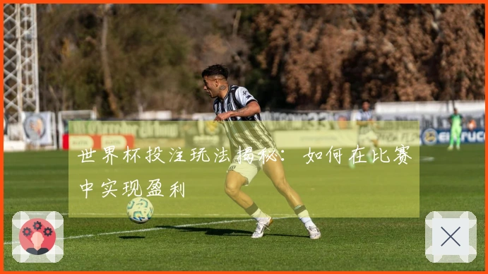 世界杯投注玩法揭秘：如何在比赛中实现盈利