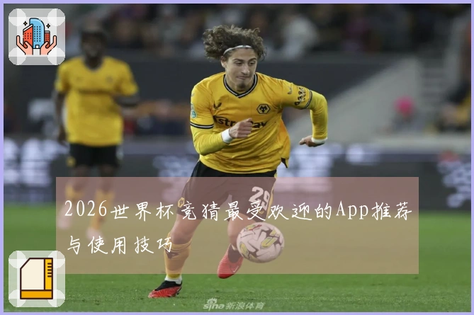 2026世界杯竞猜最受欢迎的App推荐与使用技巧
