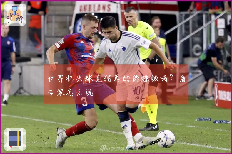 世界杯买球竞猜真的能赚钱吗？看专家怎么说