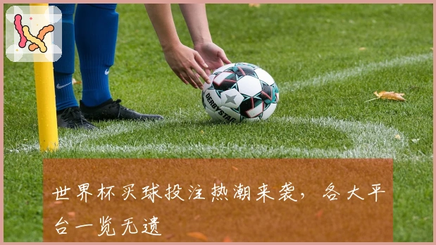 世界杯买球投注热潮来袭，各大平台一览无遗