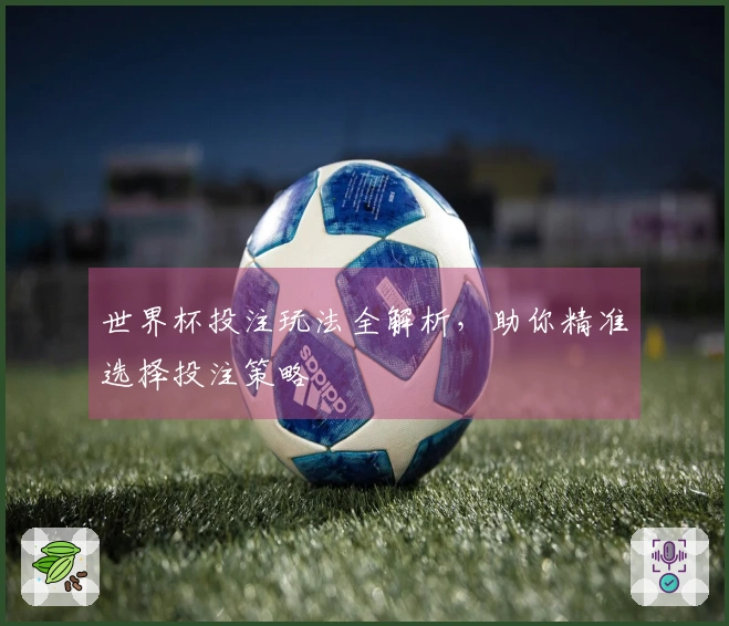 世界杯投注玩法全解析，助你精准选择投注策略