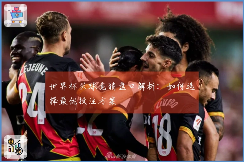 世界杯买球竞猜盘口解析：如何选择最优投注方案