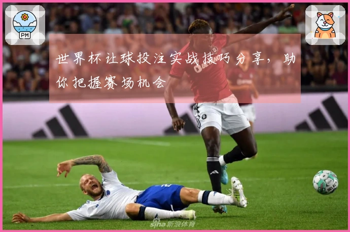 世界杯让球投注实战技巧分享，助你把握赛场机会